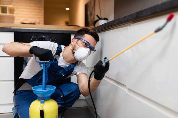 Best Best Pest Control Companies  in Mount Zion, GA