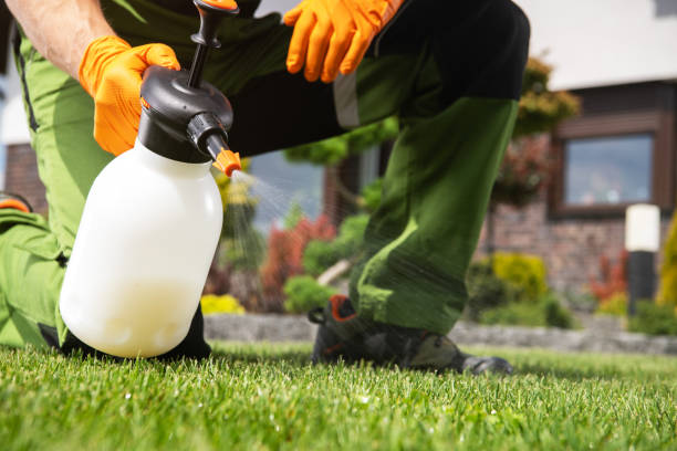 Best Wasp Removal Services  in Mount Zion, GA