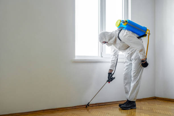 Best Rat Extermination Near Me  in Mount Zion, GA
