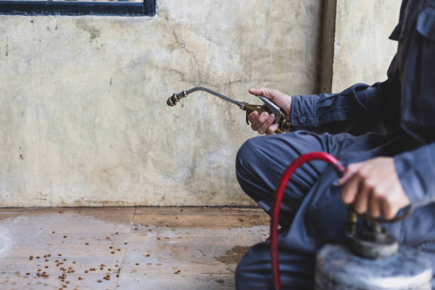 Best Exterminator Services  in Mount Zion, GA